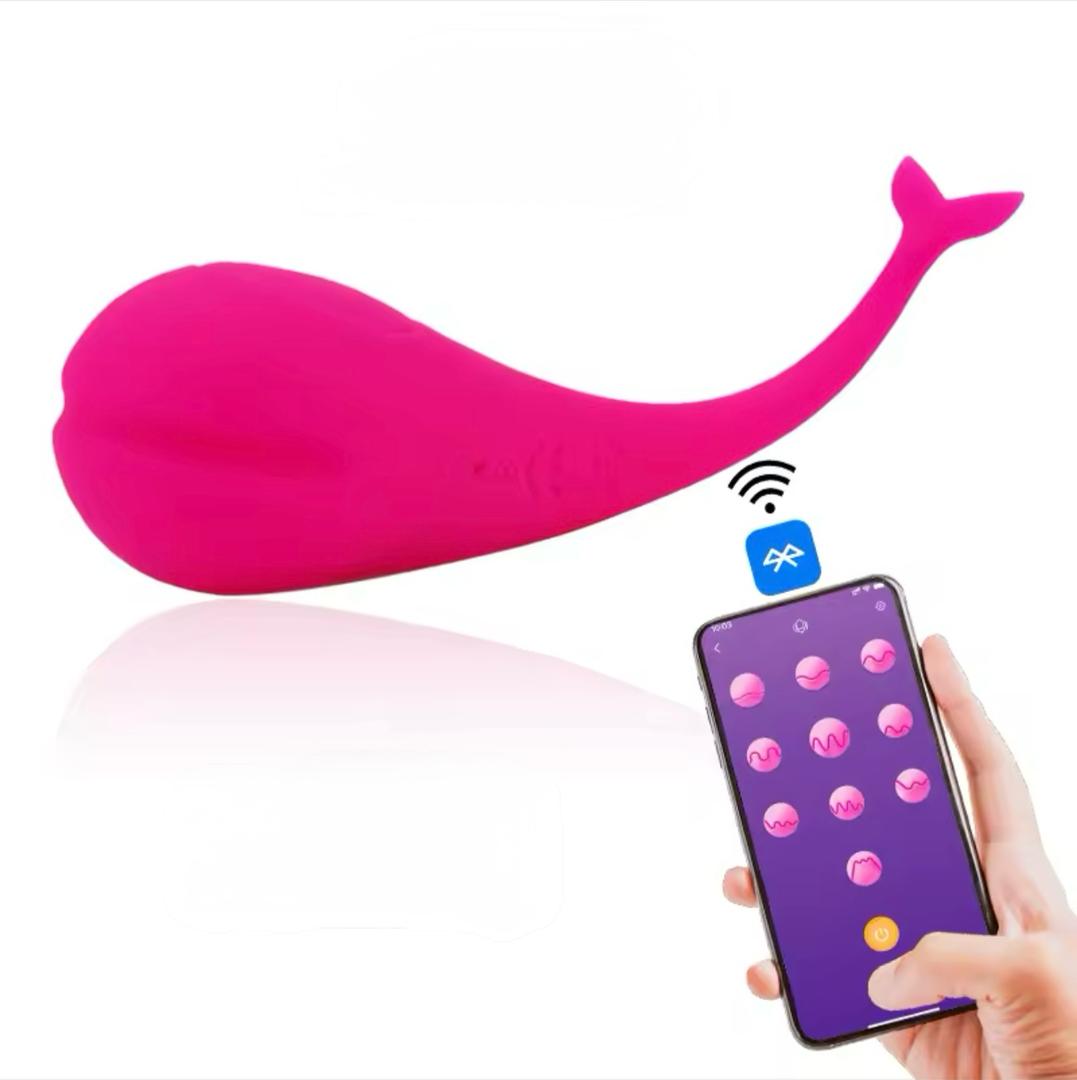 Ballenita APP