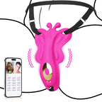 Mariposa APP